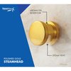 Steamspa Steamhead with Aromatherapy Reservoir in Polished Gold G-SHGOLD